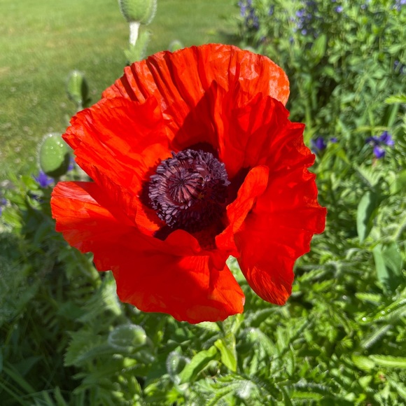 Fair Offers & Trades Considered! - Picture 1 of 1